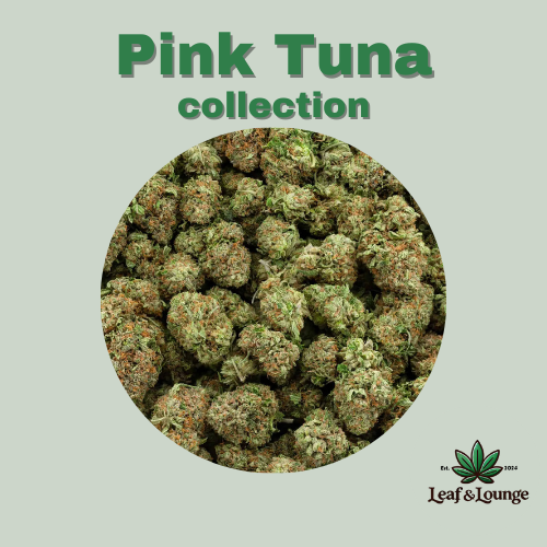 Pink Tuna Collection (AAAA+) 30% THC